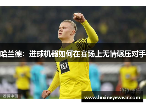 哈兰德：进球机器如何在赛场上无情碾压对手
