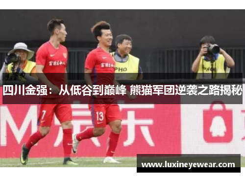 四川金强:从低谷到巅峰 熊猫军团逆袭之路揭秘 四川金强:从低谷到巅峰 熊猫军团逆袭之路揭秘