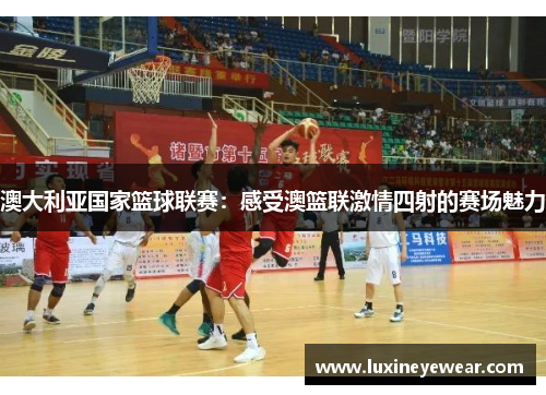澳大利亚国家篮球联赛：感受澳篮联激情四射的赛场魅力