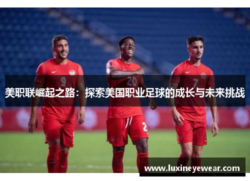 美职联崛起之路：探索美国职业足球的成长与未来挑战