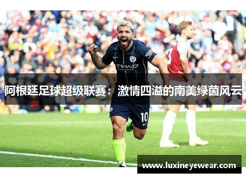 阿根廷足球超级联赛：激情四溢的南美绿茵风云